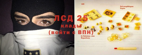 ECSTASY Алзамай