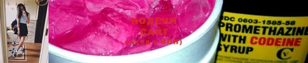 ECSTASY Алзамай