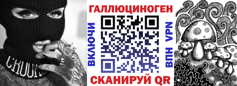 Галлюциногенные грибы Psilocybe Пласт